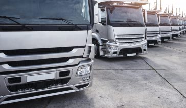 Group of trucks parked in a row.